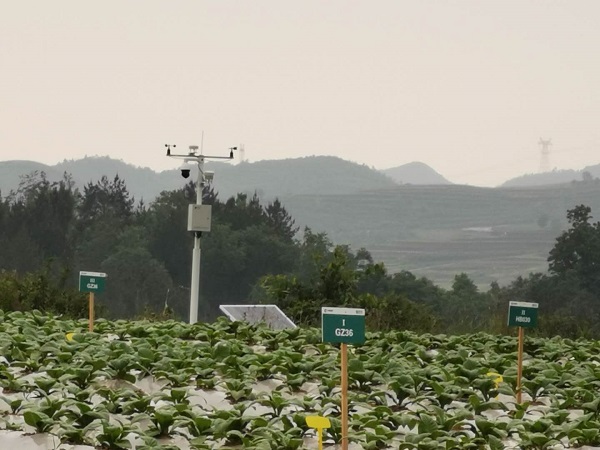 農(nóng)田小氣候觀測站圖片1