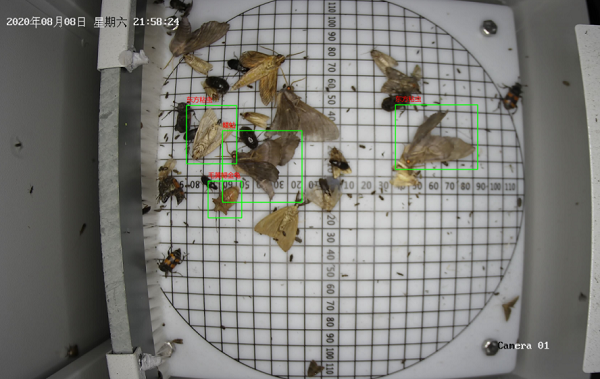病蟲害監(jiān)測(cè)系統(tǒng)圖片3